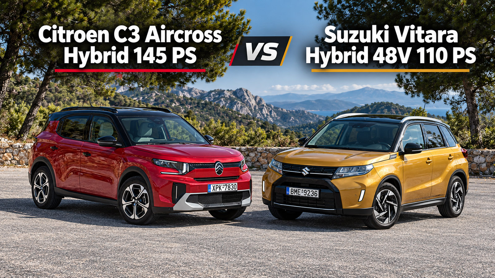 c3 vitara 